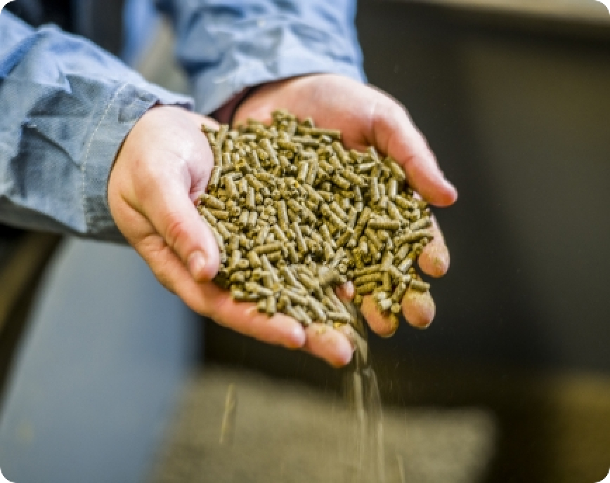 img nutrition et qualité