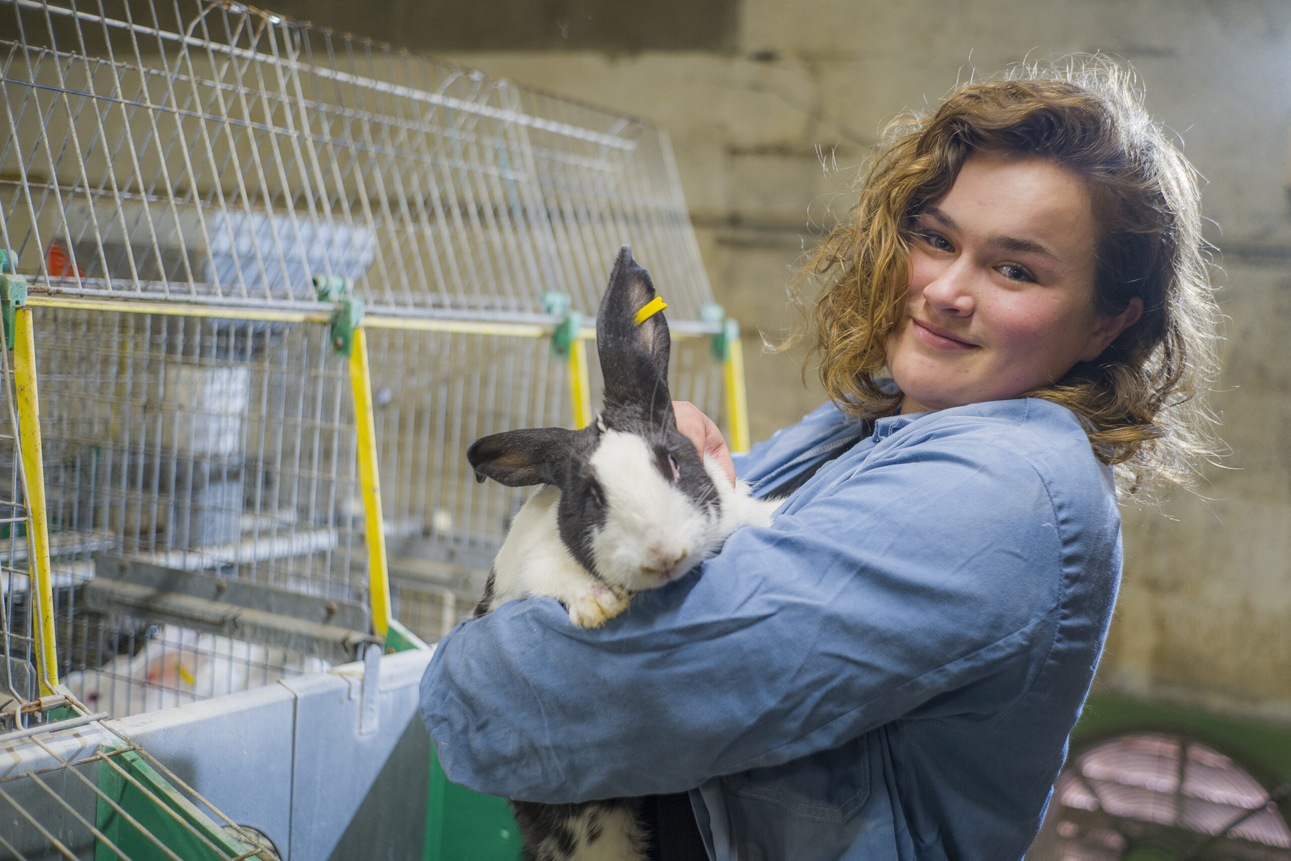 alizee-eleveuse-cunicole