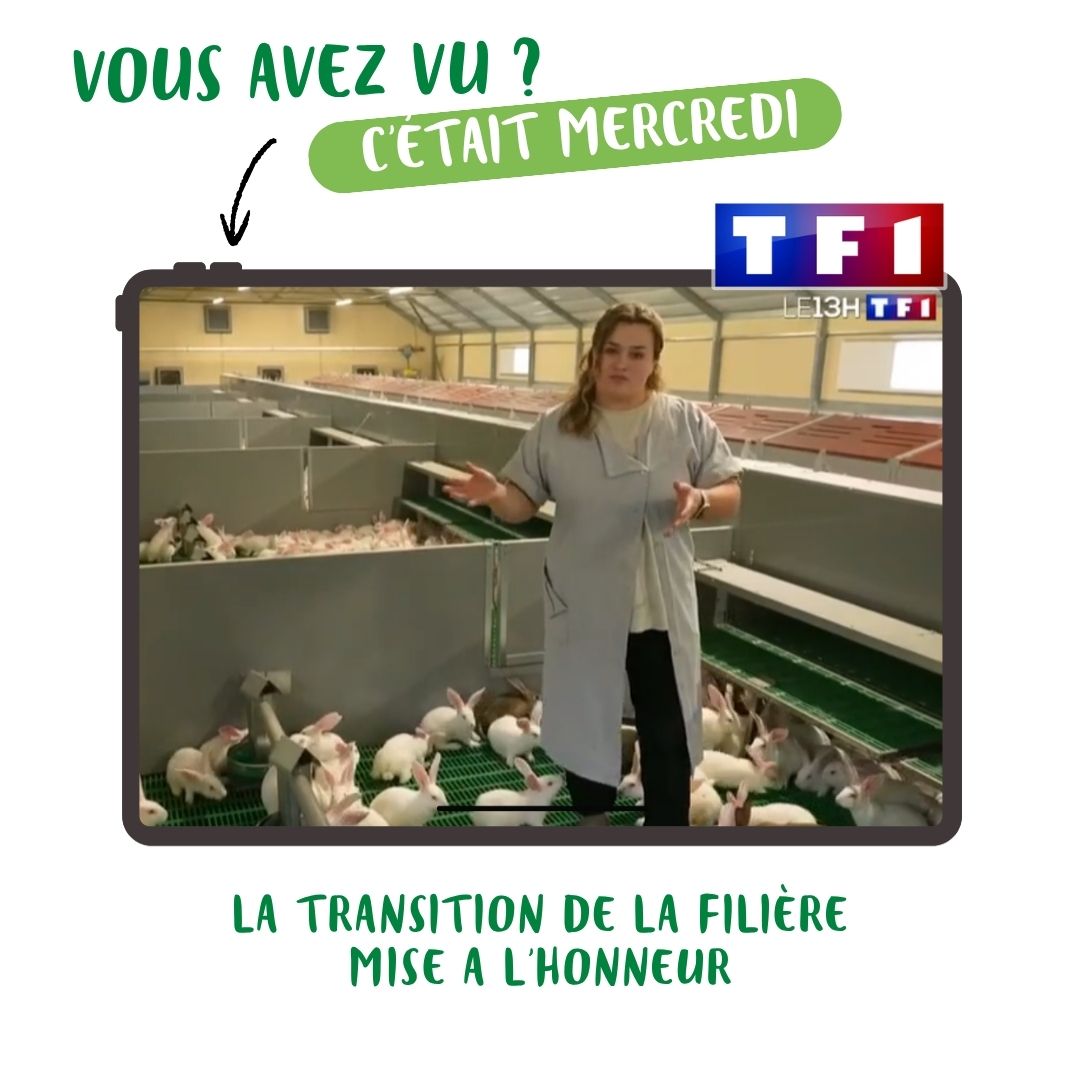 Reportage sur TF1 : la transition de la filière cunicole mise à l'honneur
